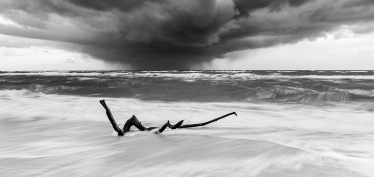 230130_TParentin - 1
